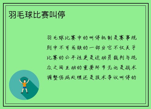 羽毛球比赛叫停