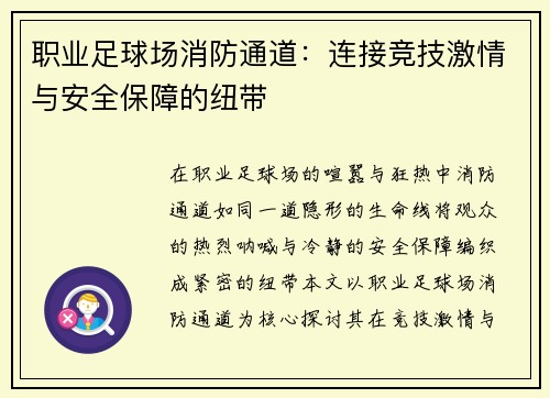 职业足球场消防通道：连接竞技激情与安全保障的纽带